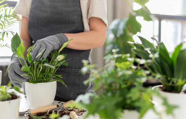 hands-on plant care