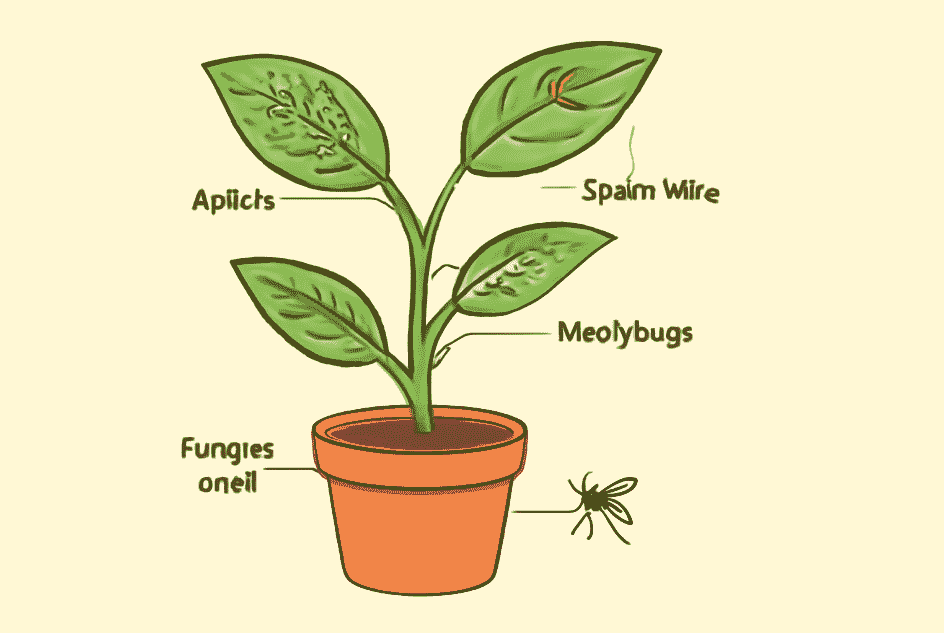 "Digital illustration of a potted plant infested with common indoor pests: aphids on the leaves, mealybugs on the stem, and fungus gnats near the soil. Each pest is labeled clearly for easy identification, set against a soft beige background."