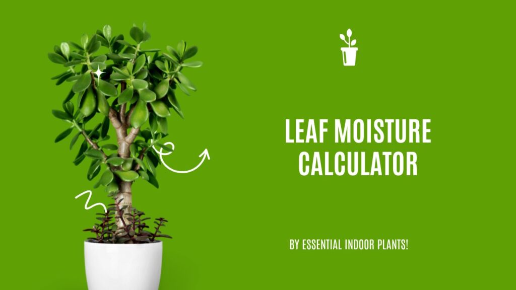 Leaf moisture calculator