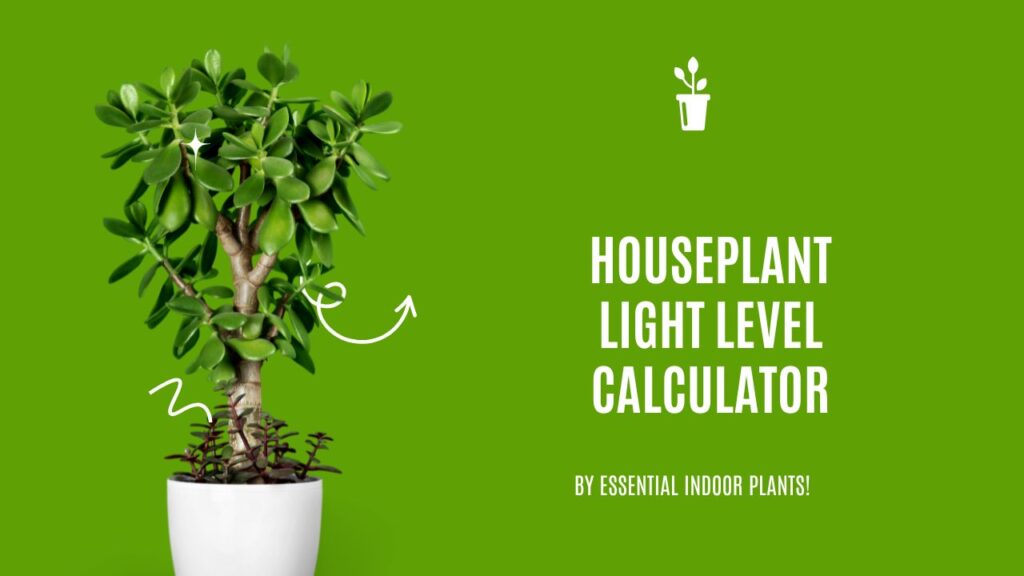 Houseplant light level calculator