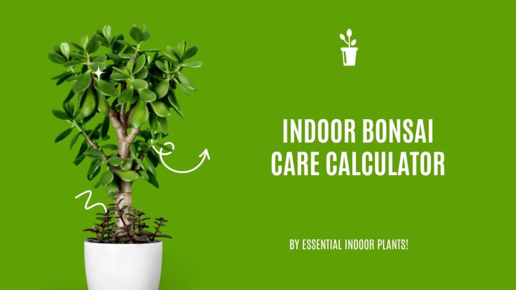 Indoor bonsai care calculator