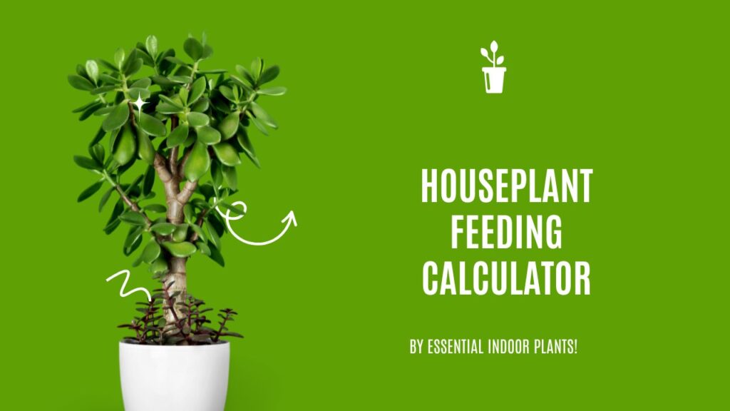 Houseplant feeding calculator