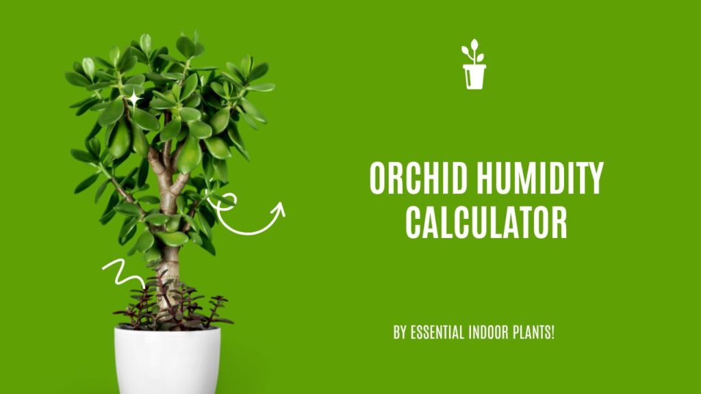 Orchid humidity calculator