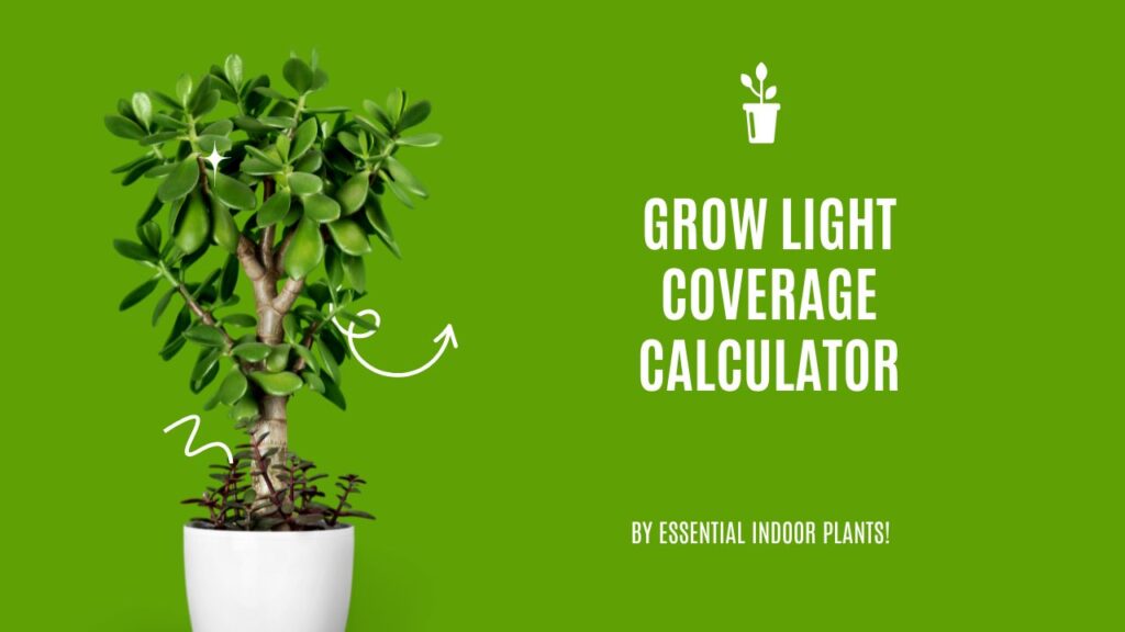 Grow light coverage calculator