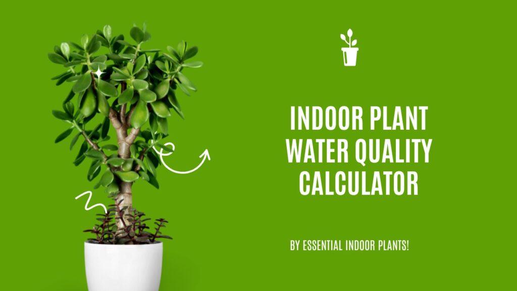 Indoor plant water quality calculator
