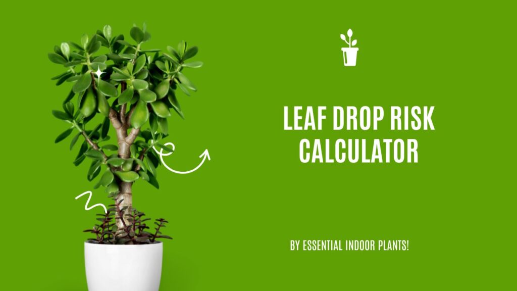 Leaf drop risk calculator