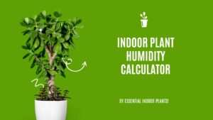 Indoor plant humidity calculator