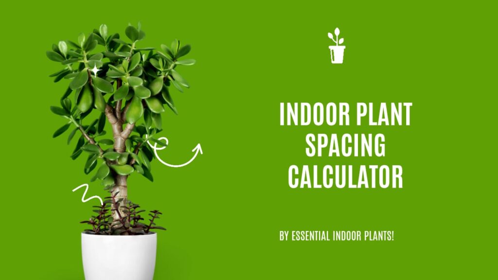 Indoor plant spacing calculator