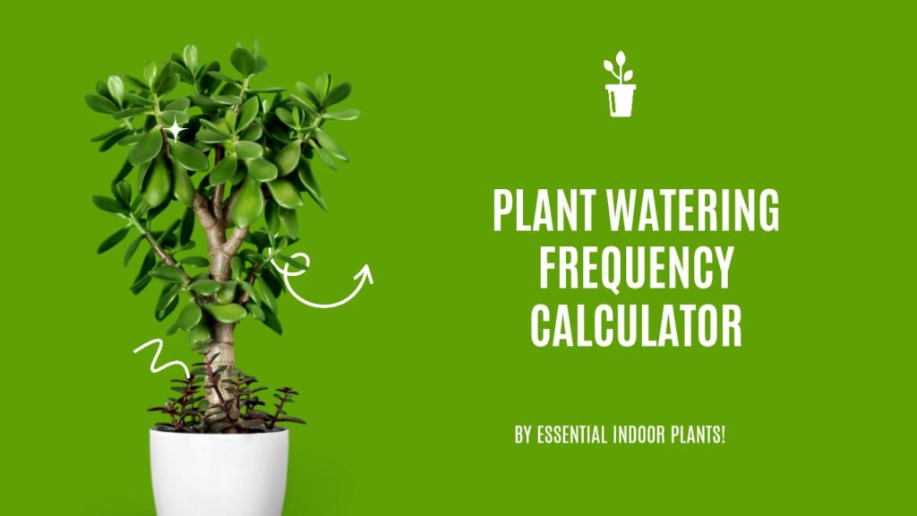 Plant watering frequency calculator