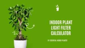 Indoor plant light filter calculator