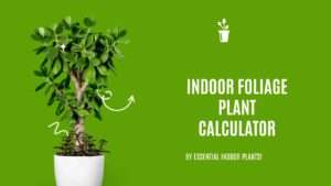 Indoor foliage plant calculator