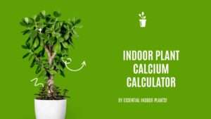 Indoor plant calcium calculator