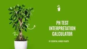 pH test interpretation calculator