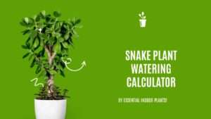Snake plant watering calculator