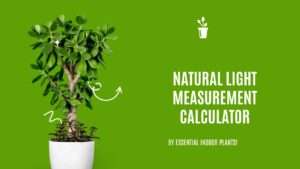 Natural light measurement calculator