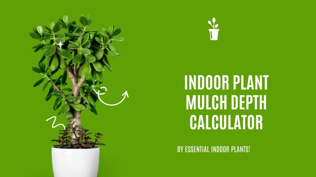 Indoor plant mulch depth calculator