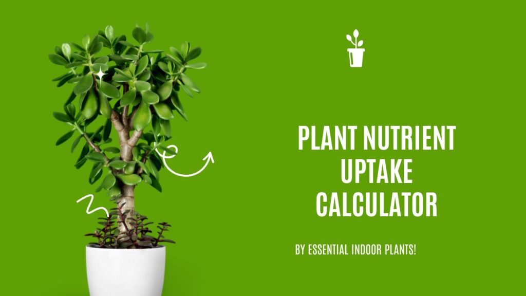 Plant light tolerance calculator