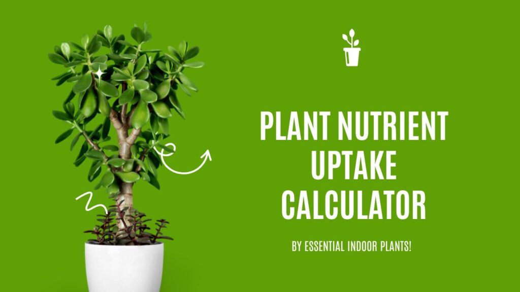 Plant nutrient uptake calculator