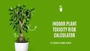 Indoor plant toxicity risk calculator