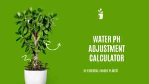 Water pH adjustment calculator