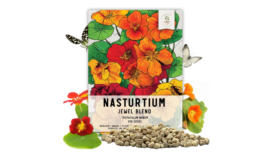  Seed Needs Nasturtium Seeds Jewel Mix Multicolored Edible Flowers | 1.5 Ounce 350+ Seeds Tropaeolum Nanum Annual Flower Seed Mix | Bulk Jewel Nasturtiums...
