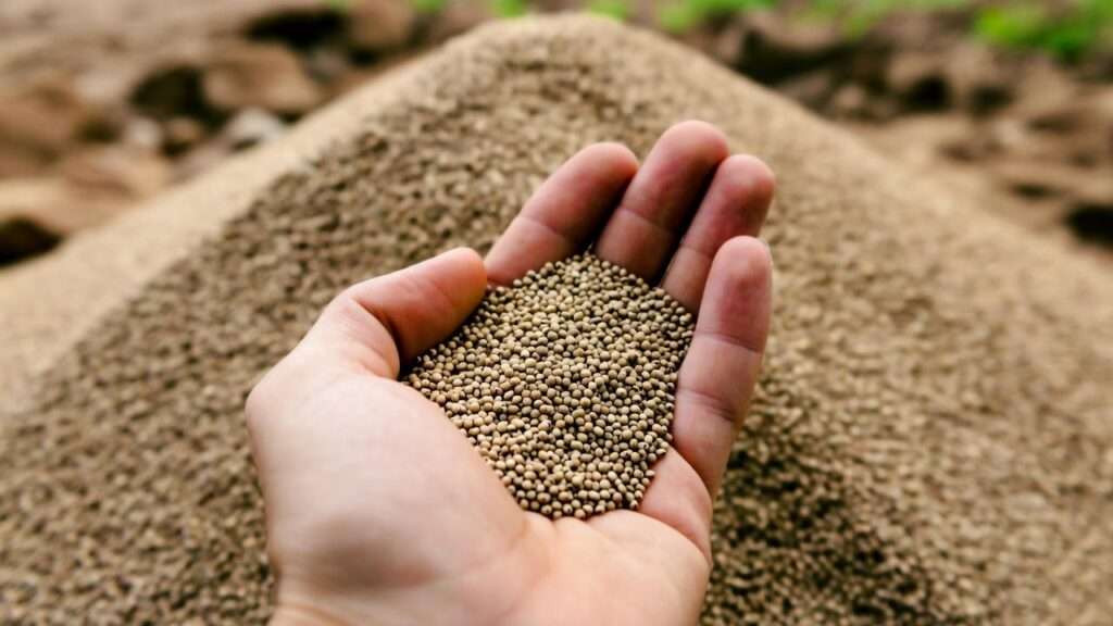 best starter fertilizer