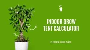 Indoor grow tent calculator