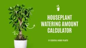 Houseplant watering amount calculator