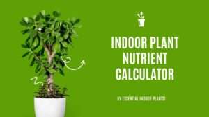 Indoor plant nutrient calculator