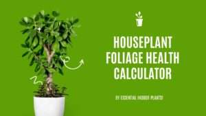 Houseplant foliage health calculator