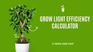 Grow light efficiency calculator