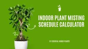 Indoor plant misting schedule calculator