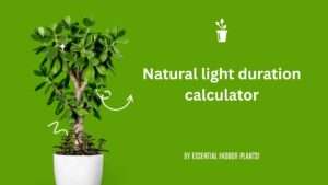 Natural light duration calculator