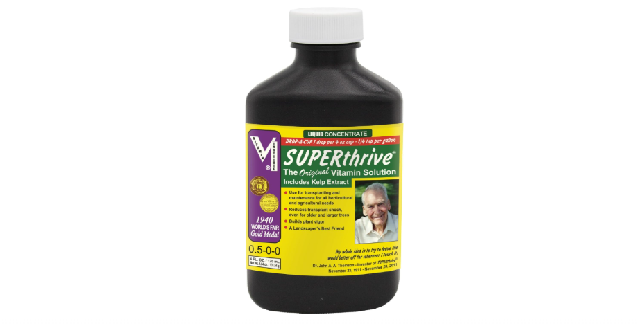 Best 10 Fertilizers for Houseplants in 2025: Expert Reviews and Buying Guide