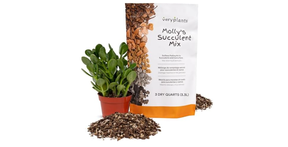  Molly's Succulent Mix - Premium Gritty Soilless Potting Mix for Succulents, Cactus and Bonsai - Contains Akadama, Hyuga, Bark Fines, Pumice, Lava Rock,...