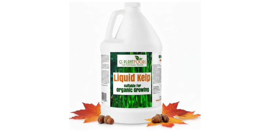  GS Plant Foods Liquid Kelp Fertilizer – Suitable for Organic Growing, OMRI Listed Seaweed Concentrate for Lawns, Gardens & Soil - 1 Gallon (Makes Up To...