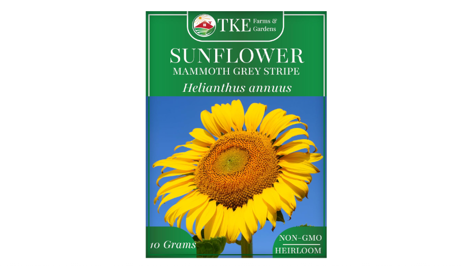  TKE Farms & Gardens - Mammoth Sunflower Seeds for Planting, 100+ Non-GMO Heirloom Seeds, Grow Towering Sunflowers with Giant Yellow Blooms, Includes...