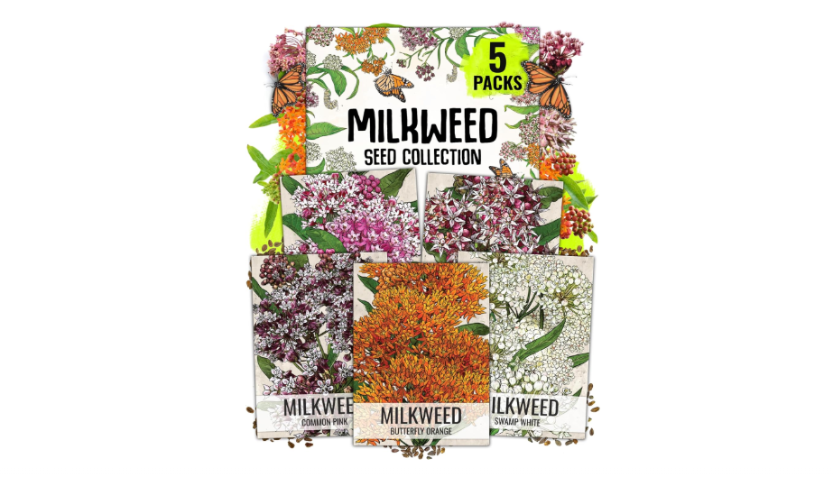  Seed Needs Milkweed Seeds for Planting a Butterfly Garden to Attract Monarch Butterflies - Collection of Pink, Orange & White Asclepias Milk Weed...
