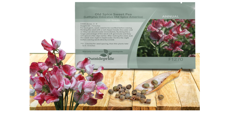  Outsidepride America Sweet Pea Seeds - 100 Pcs Annual, Easy to Grow, Vine Seeds for Planting Fragrant, Long-Lasting Flowers with Free-Flowering Habit &...