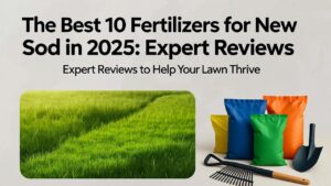 best fertilizer for new sod