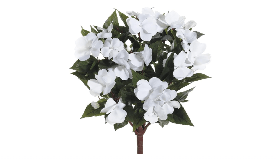 13.7" New Guinea Impatiens Bush White (Pack of 6)