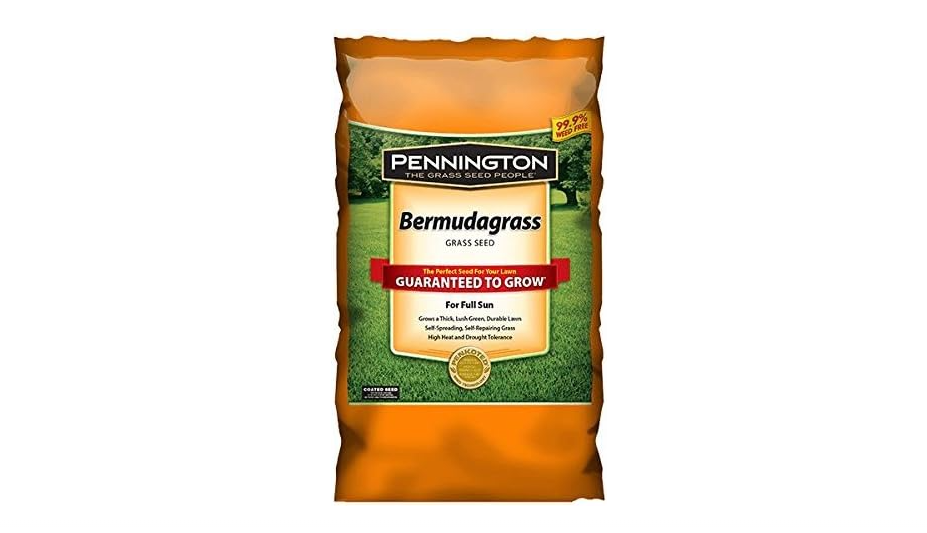  Pennington Seed 1 lb Bermuda Grass Seed