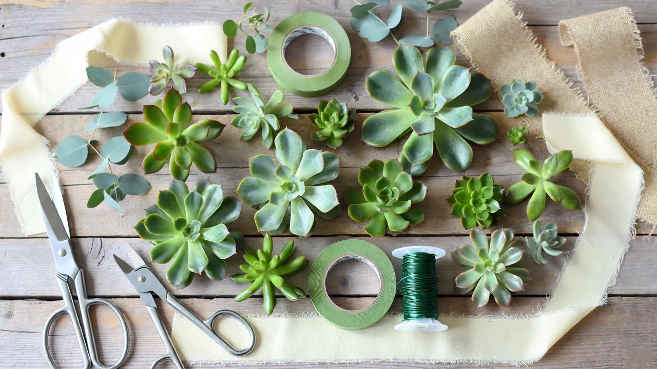Flat lay of DIY succulent bridal bouquet materials including Echeveria, floral wire, and ribbons