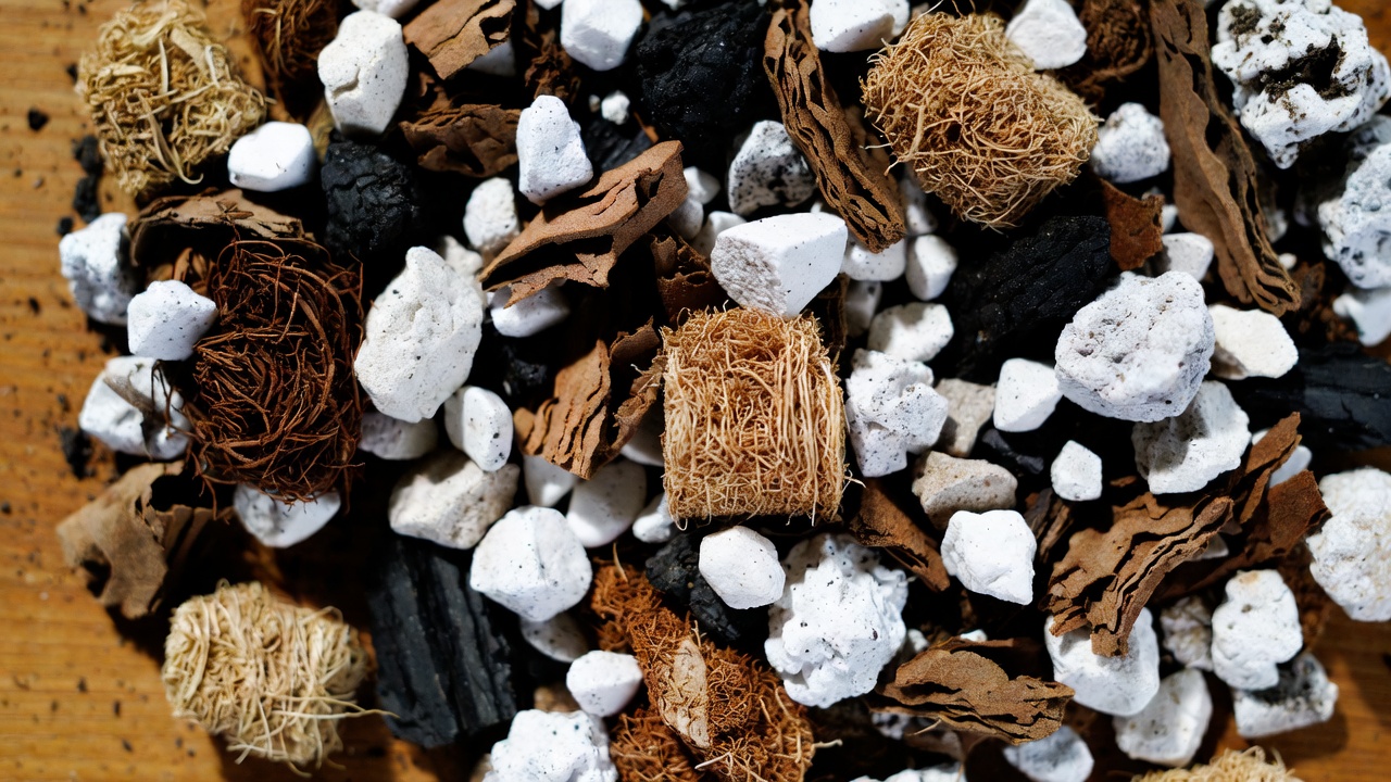 Chunky aroid soil mix for Anthurium warocqueanum with bark and perlite