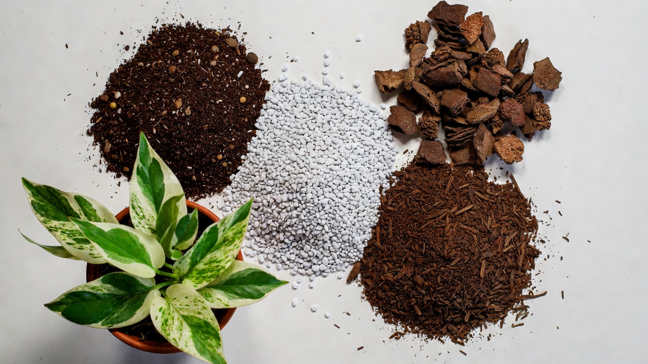 Well-draining soil mix ingredients for pothos snow queen plant