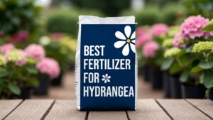best fertilizer for hydrangea