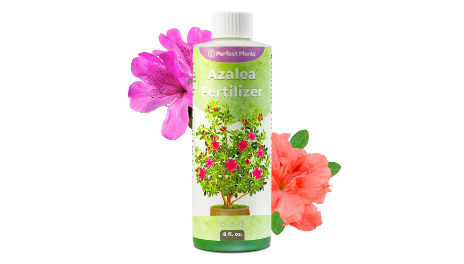 Liquid Azalea Fertilizer by Perfect Plants | Best Plant Food to Enhance Blooms, Brighten Colors, & Improve Soil Content for All Azaleas &...