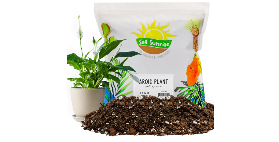 Soil Sunrise Aroid Plant Potting Soil Mix (8 Quarts) for Pothos Devil's Ivy, ZZ Plant, Chinese Evergreen, Dumb Cane Philodendron, Syngonium, Alocasia,...