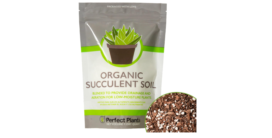  Succulent & Cactus Soil Mix by Perfect Plants (1QT)