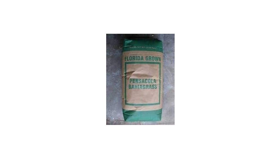 SeedRanch Pensacola Bahia Grass Seed - 5 Lbs